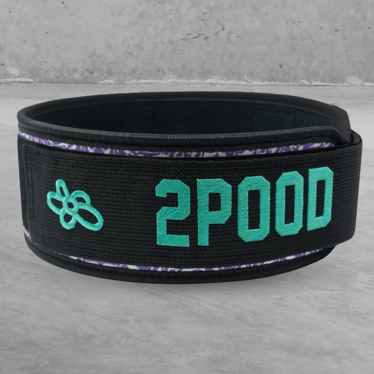 2POOD - 4" Weightlifting Belt - When Pigs Fly by Danielle Brandon