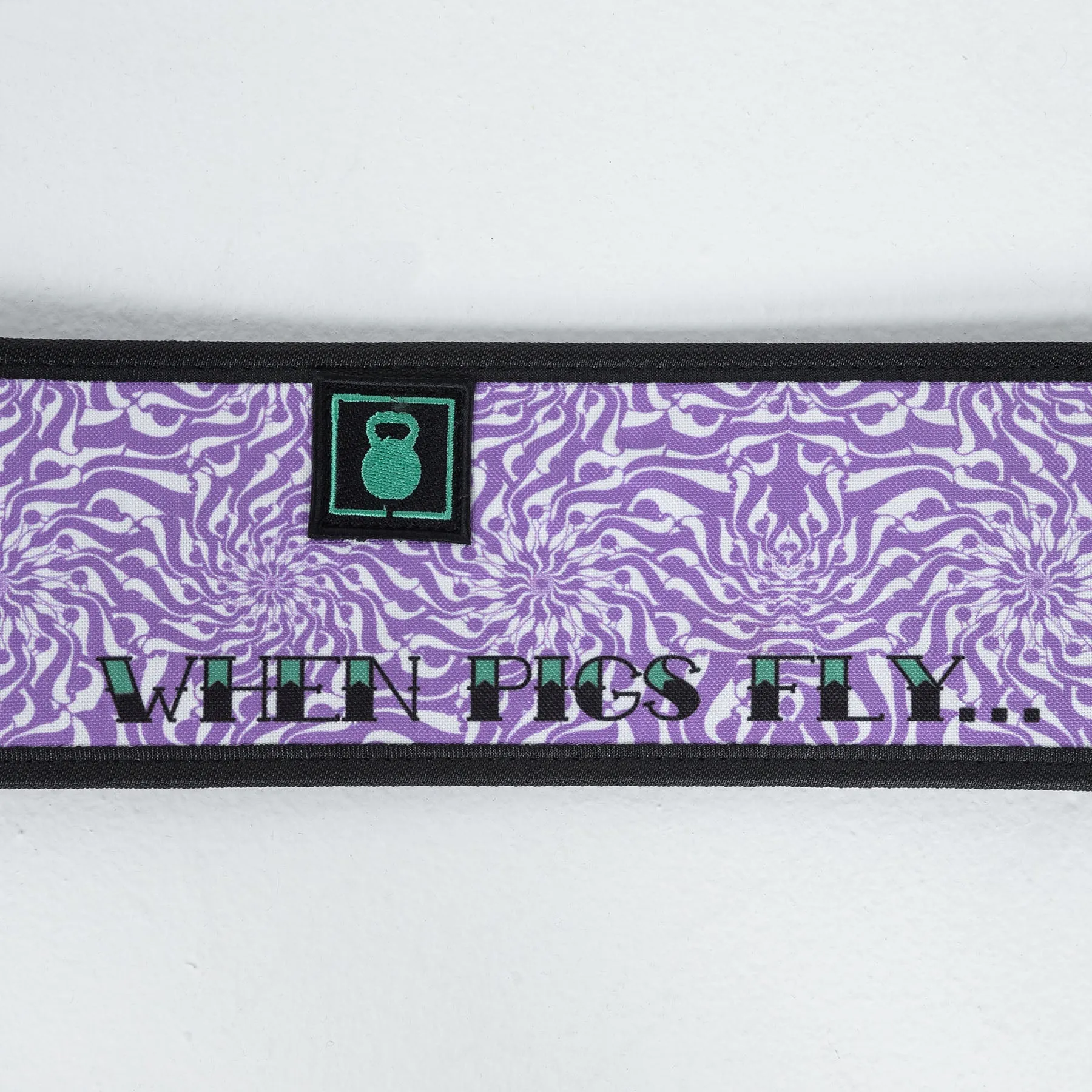 2POOD - 4" Weightlifting Belt - When Pigs Fly by Danielle Brandon