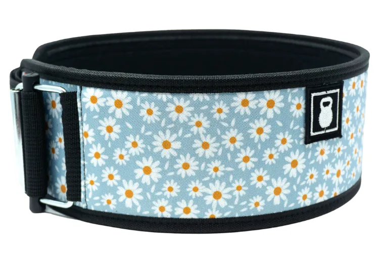 2POOD Daisies by Tasia Percevecz 4" Weightlifting Belt