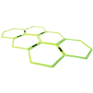 Alpha Gear Octagon Agility Rings (6 Pack)