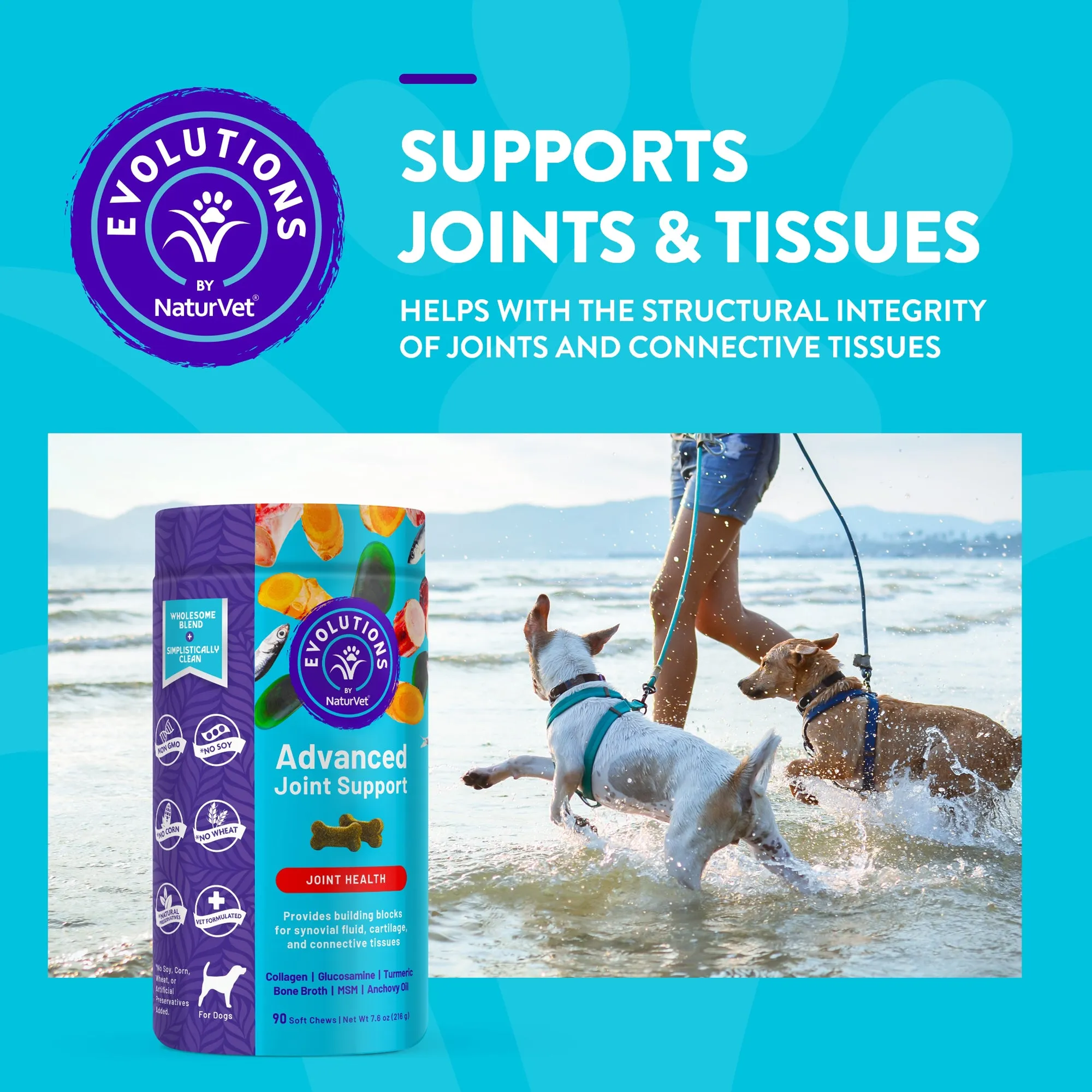 Evolutions - Advanced Joint Support Soft Chews