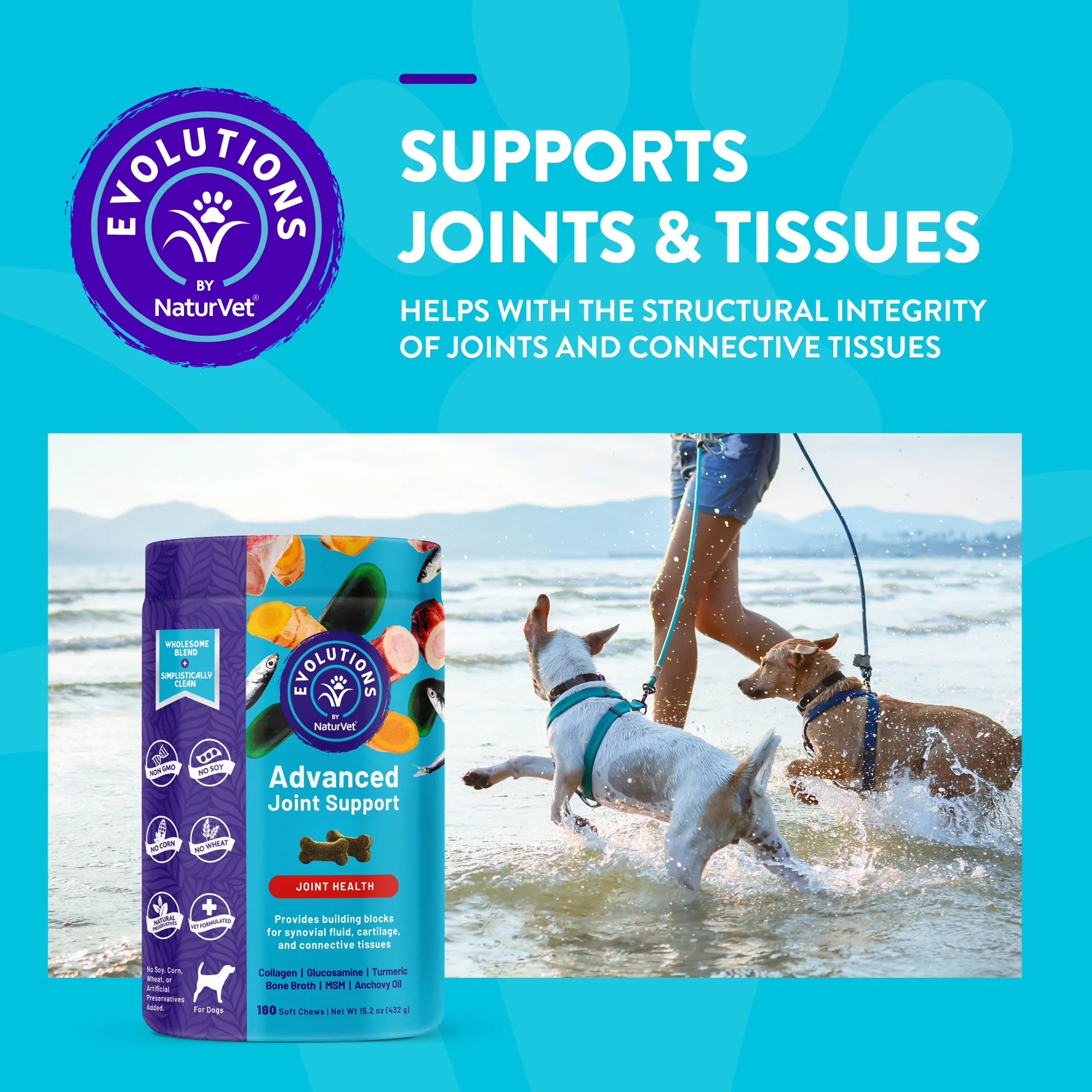 Evolutions - Advanced Joint Support Soft Chews