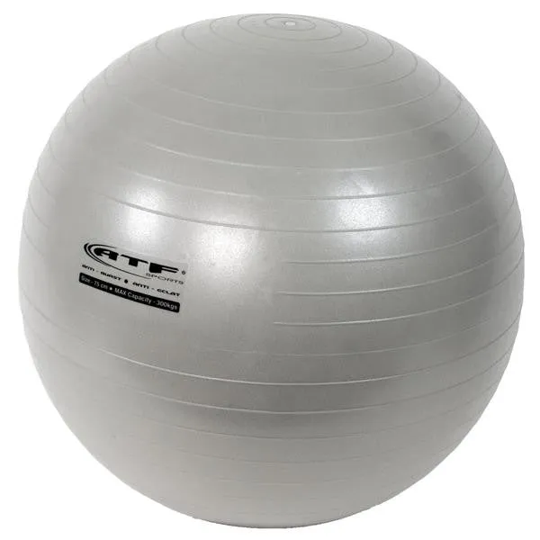 Exercise balls