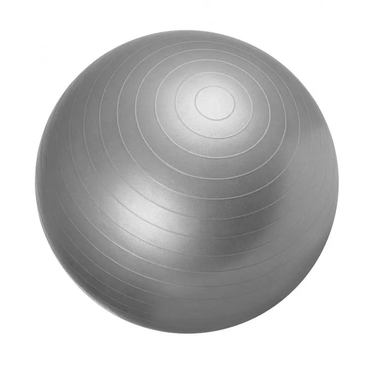 Gym Ball Fitness Ball 55cm - Grey