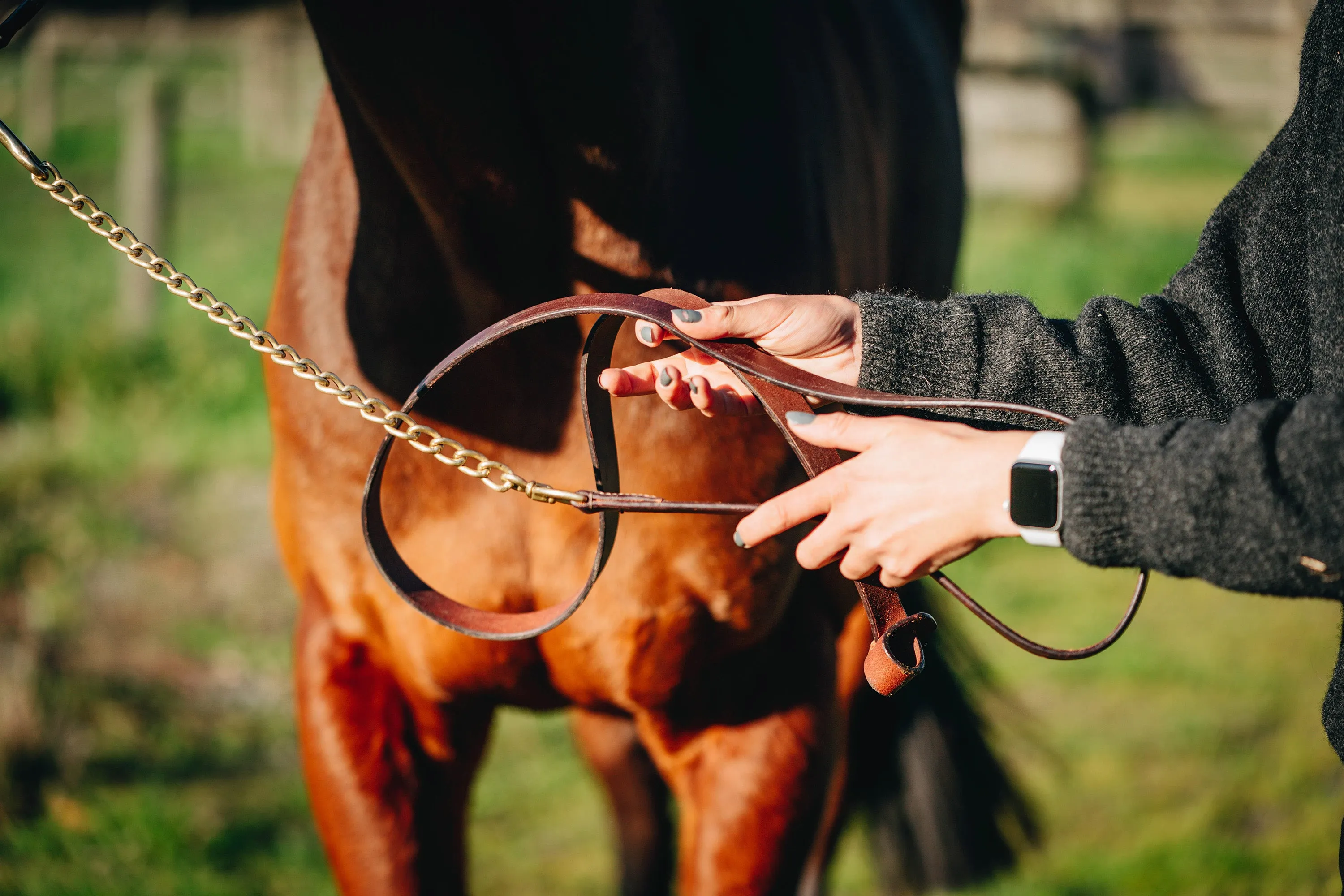 Leather and Chain Showing Leads