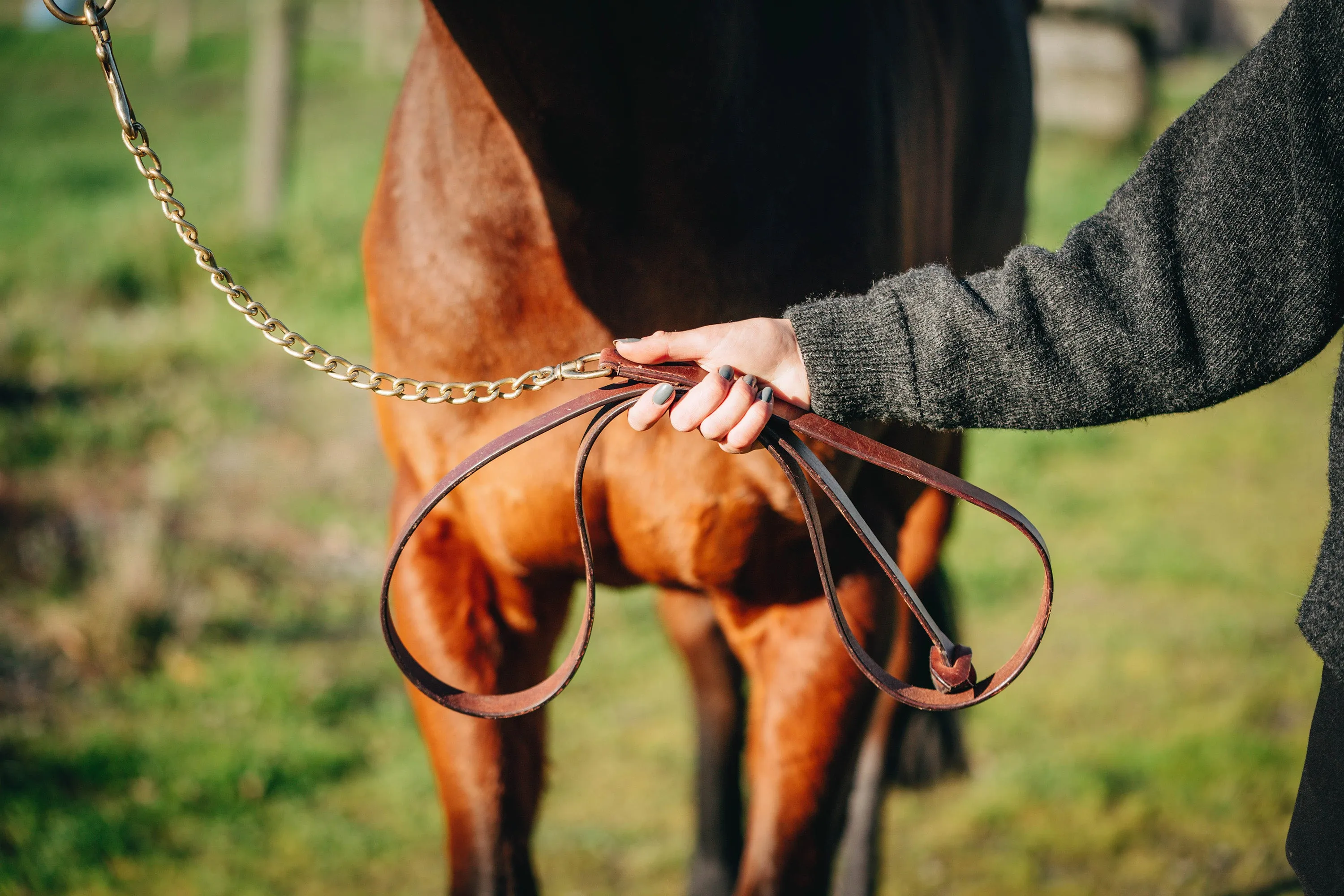 Leather and Chain Showing Leads