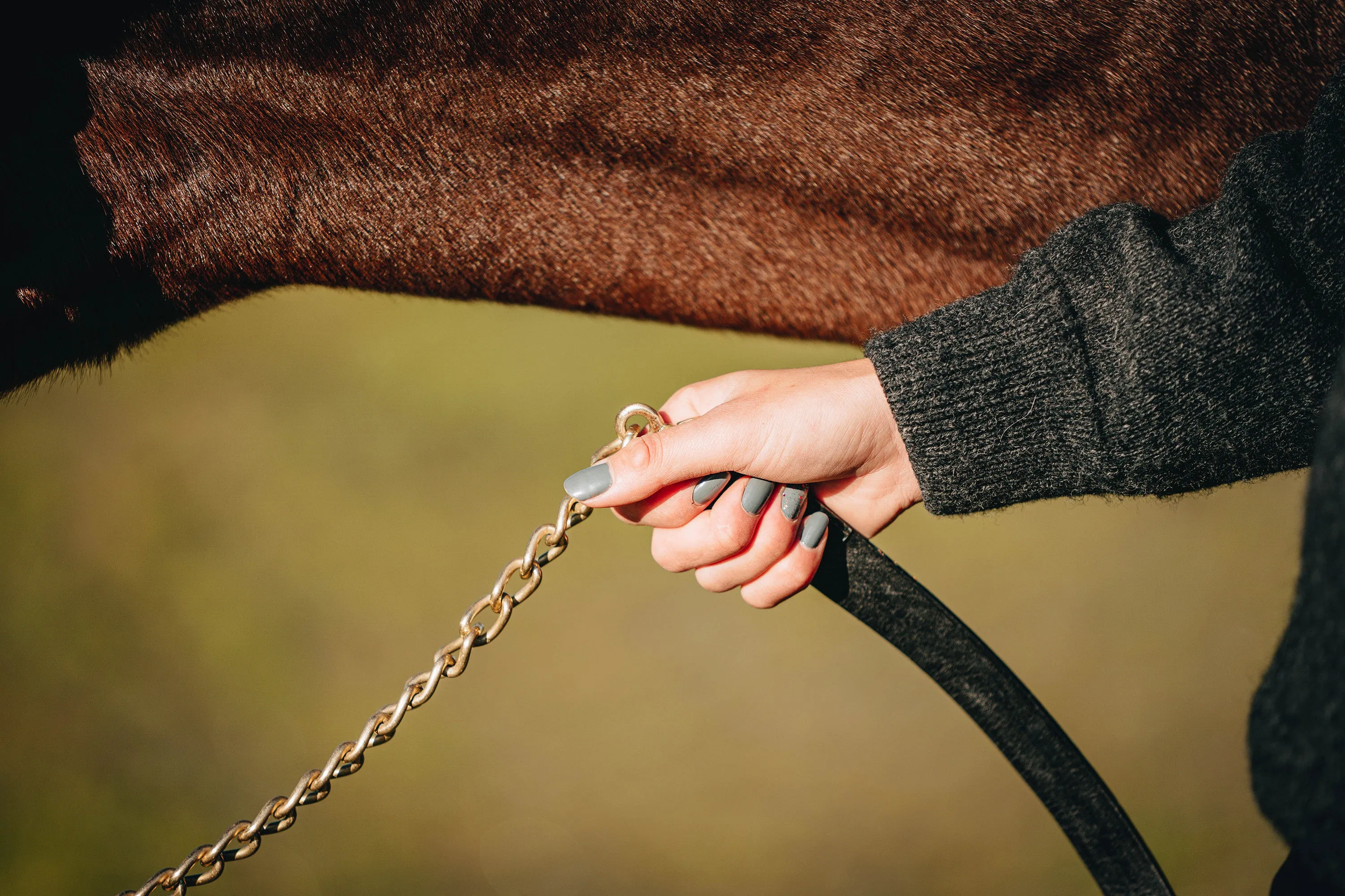 Leather and Chain Showing Leads