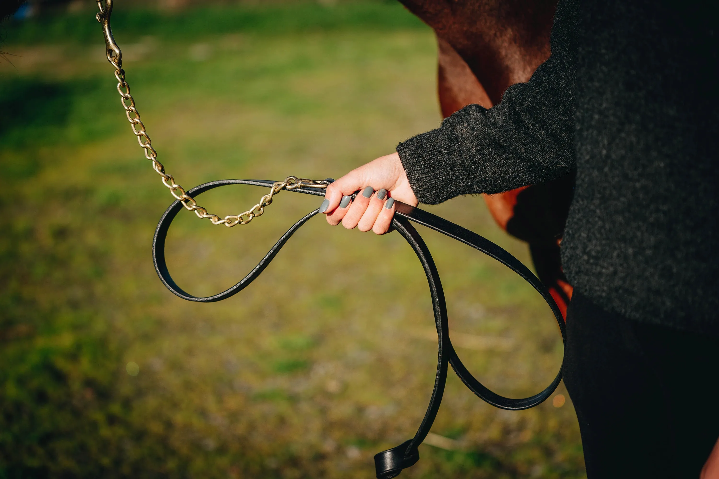 Leather and Chain Showing Leads