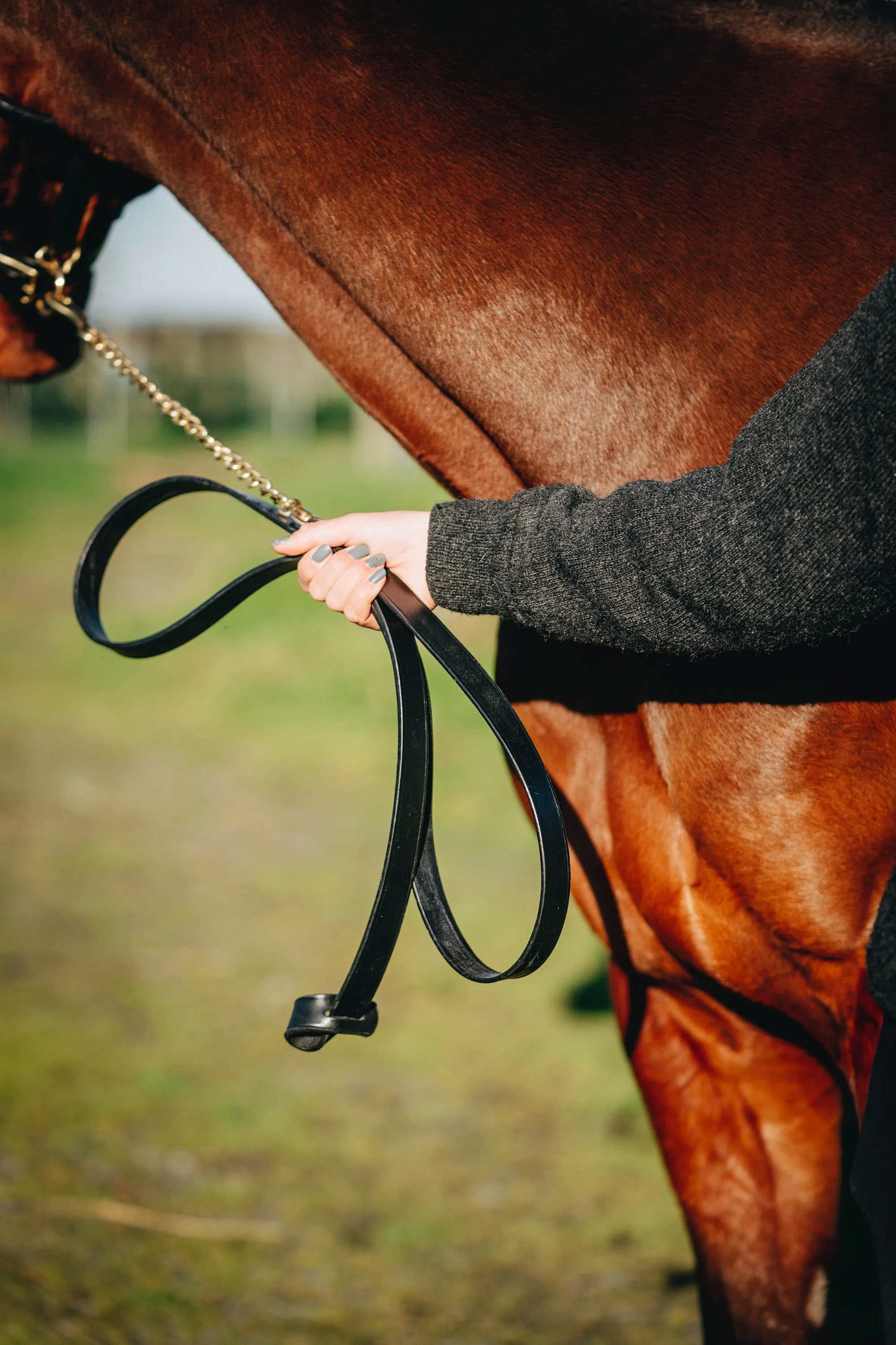 Leather and Chain Showing Leads