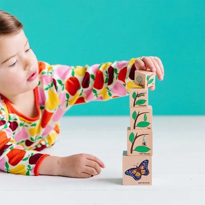 Lifecycle Wooden Blocks