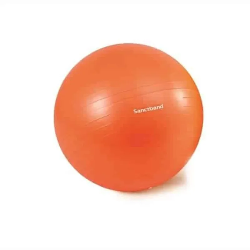 Sanctband Exercise Balls