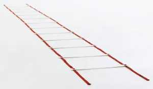 Steedon Speed Ladder