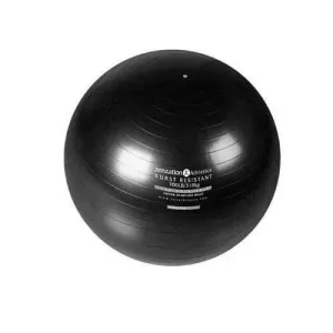 Zenzation 26in Exrcise Ball BK